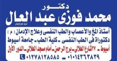 محمد فوزي عبد العال