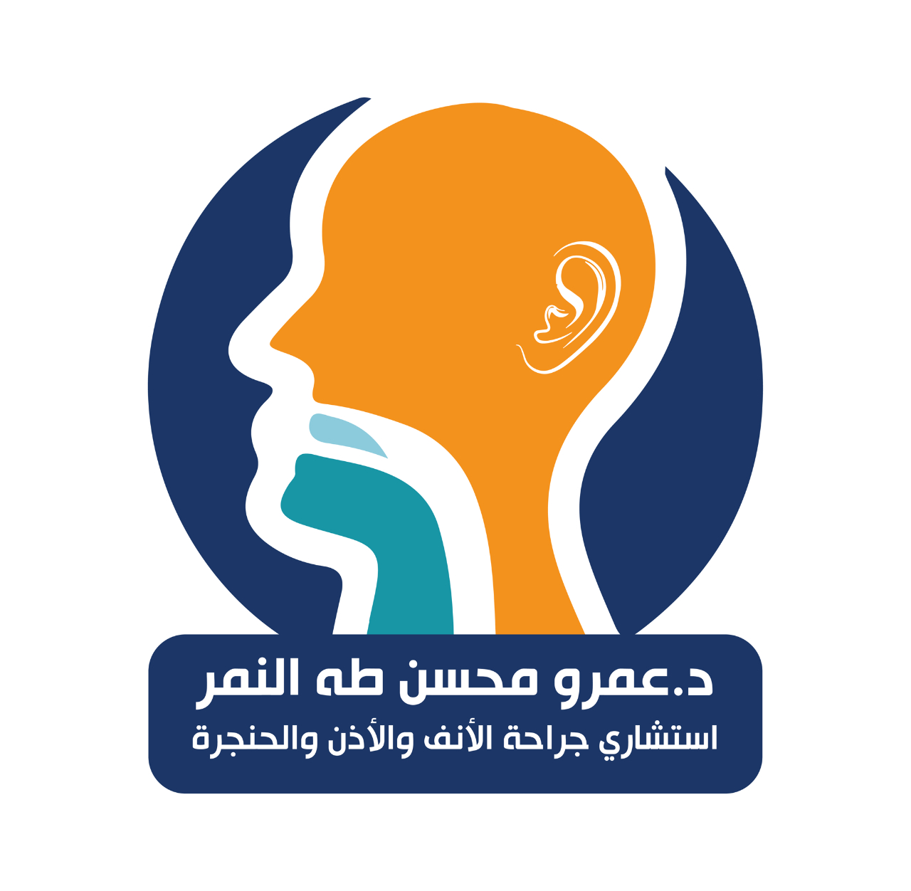 عمرو محسن طه النمر