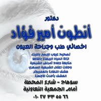 أنطون أمير